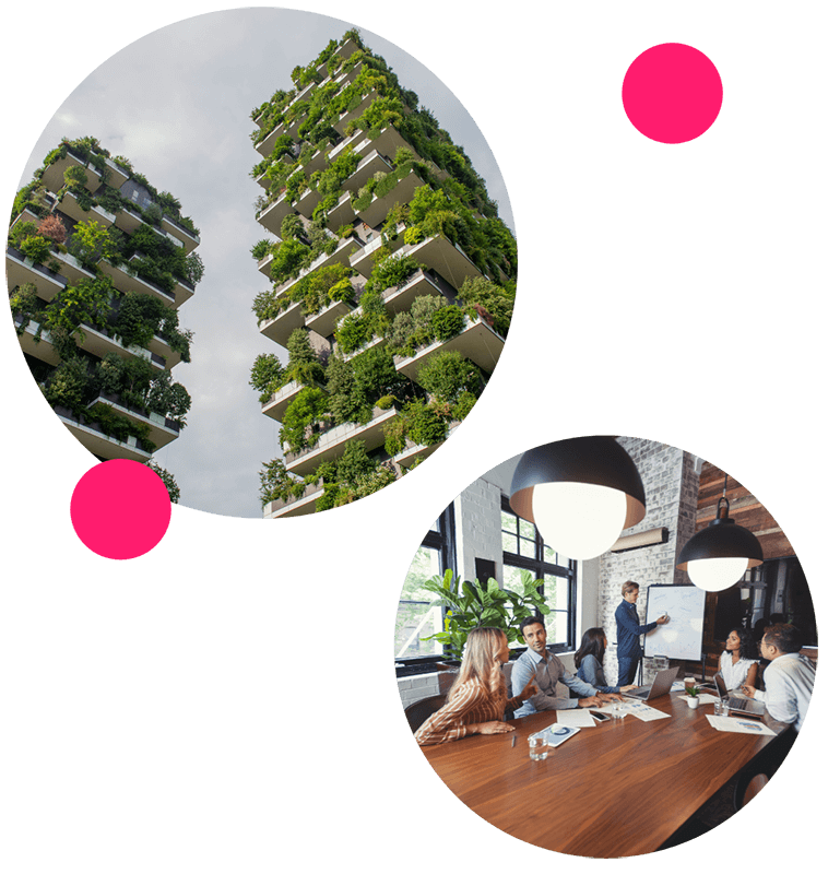 helderziend leo opleidingen HelderZiend met LEO Opleidingen