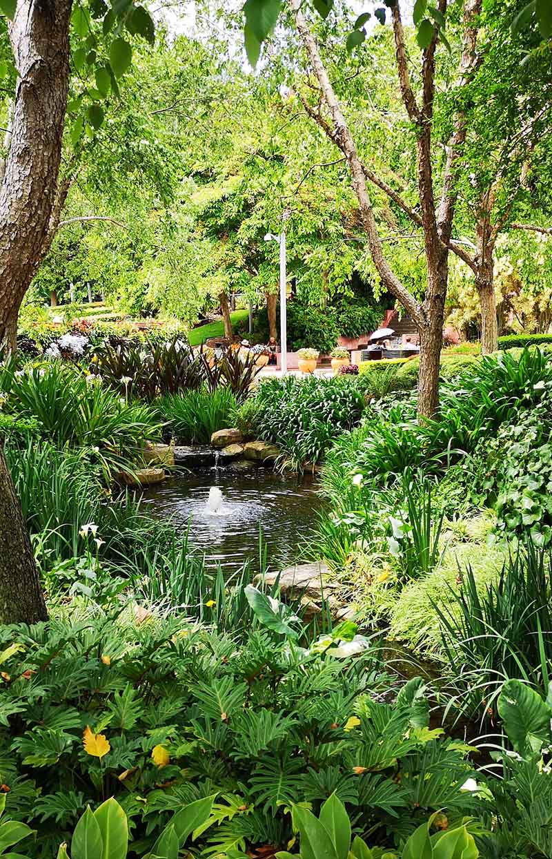 water-ecologisch-tuin-hoveniersopleiding-ipd IPD leert je alles wat je als ecologisch hovenier nodig hebt